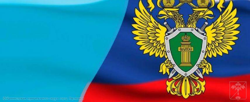 2024.07.23 Прокуратура обеспечивает надзорное сопровождение эвакуации школьников из детского лагеря &quot;Наши гости - 3&quot;