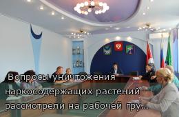 06.06.2025  Вопросы уничтожения наркосодержащих растений рассмотрели на рабочей группе  | Администрация муниципального округа город Партизанск Приморского края Официальный сайт