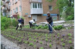 22.05.2024 В центре города высаживают цветы | Администрация муниципального округа город Партизанск Приморского края Официальный сайт