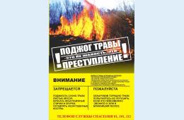 06.04.2021 Лесные пожары | Администрация муниципального округа город Партизанск Приморского края Официальный сайт