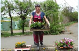 13.05.2022 Цветочная рассада – на городских клумбах | Администрация муниципального округа город Партизанск Приморского края Официальный сайт
