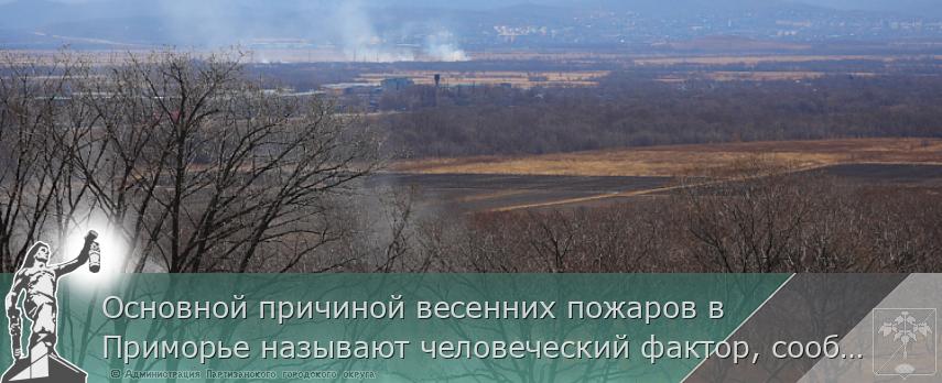 Основной причиной весенних пожаров в Приморье называют человеческий фактор, сообщает www.primorsky.ru