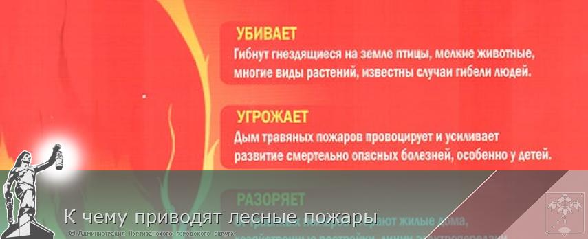 К чему приводят лесные пожары | Администрация муниципального округа город Партизанск Приморского края Официальный сайт К чему приводят лесные пожары | Администрация муниципального округа город Партизанск Приморского края Официальный сайт