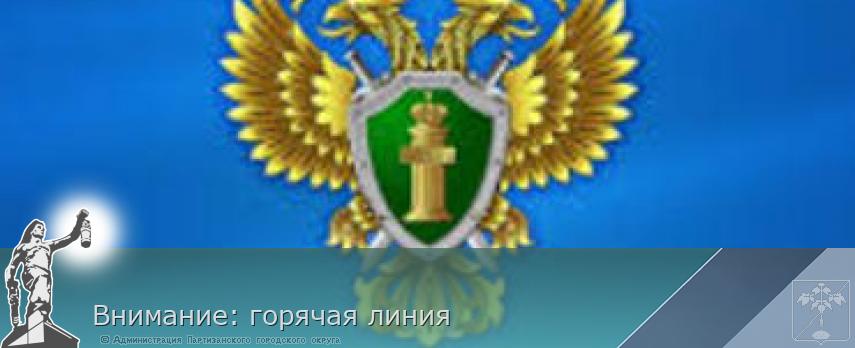 Внимание: горячая линия | Администрация муниципального округа город Партизанск Приморского края Официальный сайт