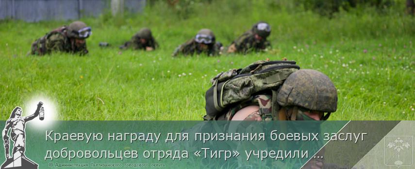 Краевую награду для признания боевых заслуг добровольцев отряда «Тигр» учредили в Приморье | Администрация муниципального округа город Партизанск Приморского края Официальный сайт