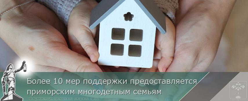 Более 10 мер поддержки предоставляется приморским многодетным семьям  | Администрация муниципального округа город Партизанск Приморского края Официальный сайт