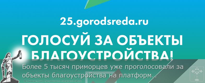 Более 5 тысяч приморцев уже проголосовали за объекты благоустройства на платформе 25.gorodsreda.ru, сообщает www.primorsky.ru