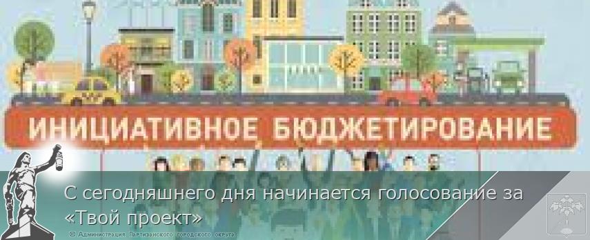 С сегодняшнего дня начинается голосование за «Твой проект»  | Администрация муниципального округа город Партизанск Приморского края Официальный сайт