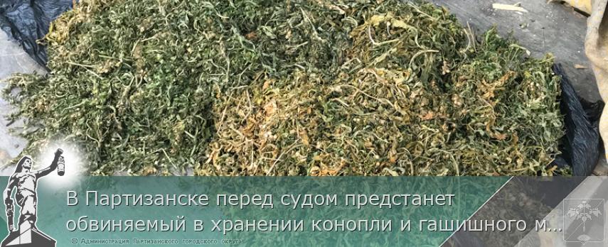 В Партизанске перед судом предстанет обвиняемый в хранении конопли и гашишного масла | Администрация муниципального округа город Партизанск Приморского края Официальный сайт