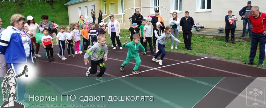 Нормы ГТО сдают дошколята | Администрация муниципального округа город Партизанск Приморского края Официальный сайт