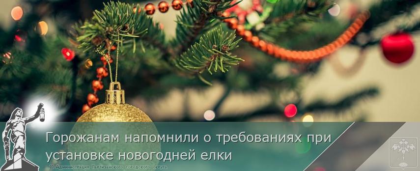 Горожанам напомнили о требованиях при установке новогодней елки | Администрация муниципального округа город Партизанск Приморского края Официальный сайт