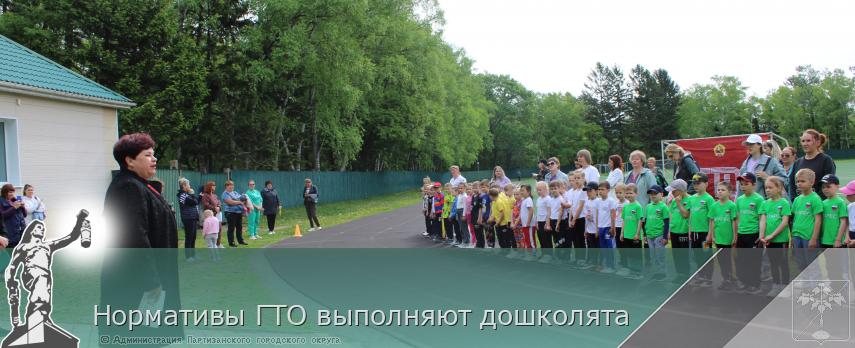 Нормативы ГТО выполняют дошколята | Администрация муниципального округа город Партизанск Приморского края Официальный сайт