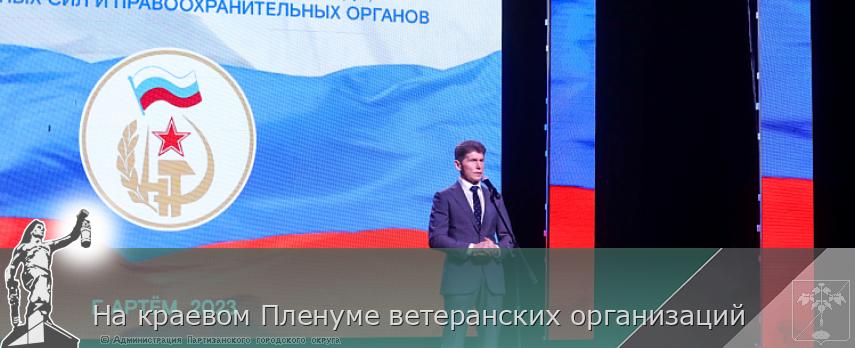 На краевом Пленуме ветеранских организаций | Администрация муниципального округа город Партизанск Приморского края Официальный сайт