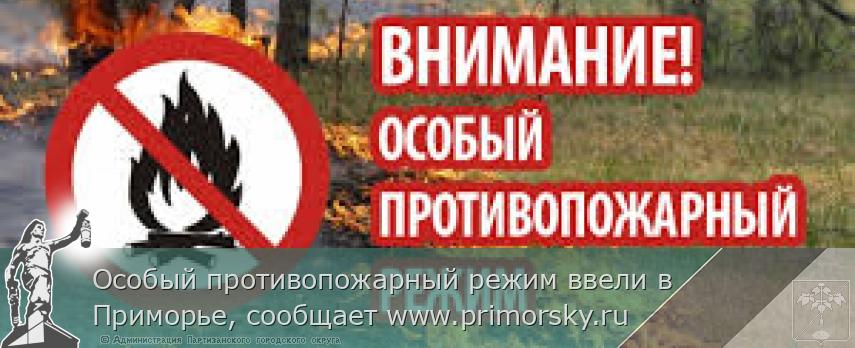 Особый противопожарный режим ввели в Приморье, сообщает www.primorsky.ru