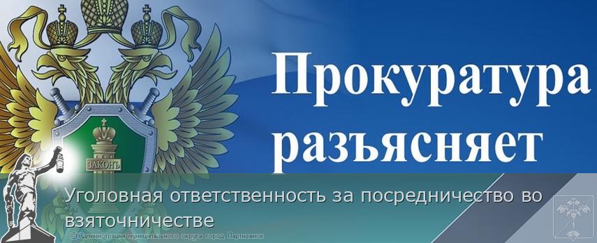 Уголовная ответственность за посредничество во взяточничестве | Администрация муниципального округа город Партизанск Приморского края Официальный сайт Уголовная ответственность за посредничество во взяточничестве | Администрация муниципального округа город Партизанск Приморского края Официальный сайт