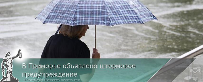 В Приморье объявлено штормовое предупреждение  | Администрация муниципального округа город Партизанск Приморского края Официальный сайт