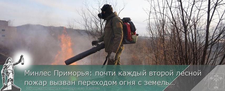 Минлес Приморья: почти каждый второй лесной пожар вызван переходом огня с земель иных категорий  | Администрация муниципального округа город Партизанск Приморского края Официальный сайт