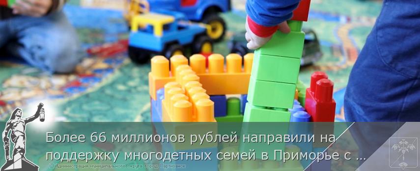 Более 66 миллионов рублей направили на поддержку многодетных семей в Приморье с начала года. МЕРЫ ПОДДЕРЖКИ 
