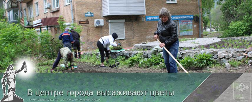 В центре города высаживают цветы | Администрация муниципального округа город Партизанск Приморского края Официальный сайт В центре города высаживают цветы | Администрация муниципального округа город Партизанск Приморского края Официальный сайт