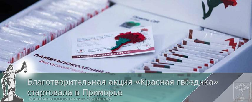 Благотворительная акция «Красная гвоздика» стартовала в Приморье