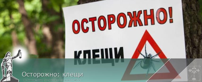Осторожно: клещи | Администрация муниципального округа город Партизанск Приморского края Официальный сайт Осторожно: клещи | Администрация муниципального округа город Партизанск Приморского края Официальный сайт