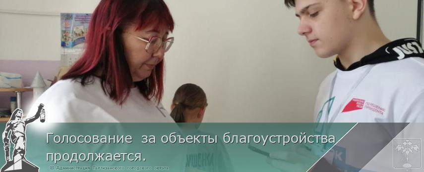Голосование  за объекты благоустройства продолжается. | Администрация муниципального округа город Партизанск Приморского края Официальный сайт