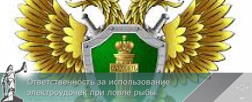 Ответственность за использование электроудочек при ловле рыбы | Администрация муниципального округа город Партизанск Приморского края Официальный сайт Ответственность за использование электроудочек при ловле рыбы | Администрация муниципального округа город Партизанск Приморского края Официальный сайт