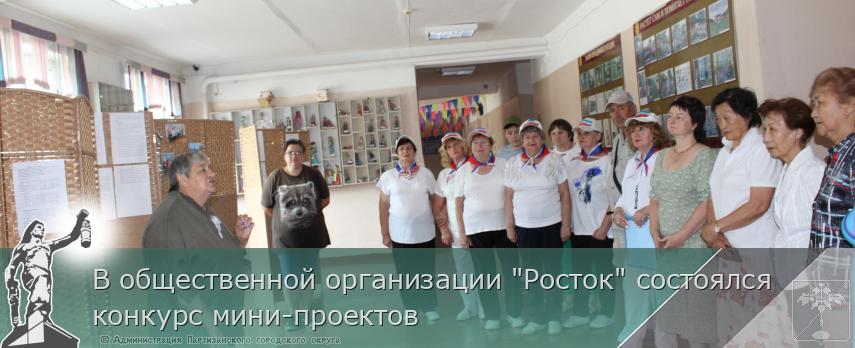 В общественной организации &quot;Росток&quot; состоялся конкурс мини-проектов | Администрация муниципального округа город Партизанск Приморского края Официальный сайт