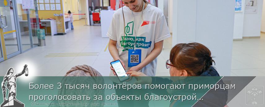 Более 3 тысяч волонтёров помогают приморцам проголосовать за объекты благоустройства
