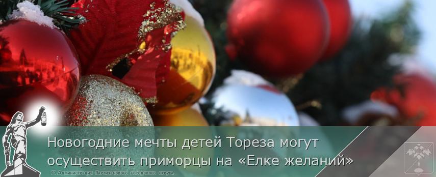 Новогодние мечты детей Тореза могут осуществить приморцы на «Елке желаний» | Администрация муниципального округа город Партизанск Приморского края Официальный сайт