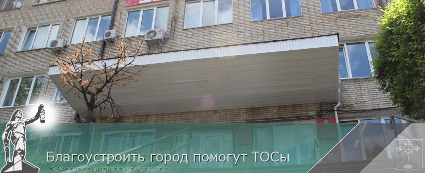 Благоустроить город помогут ТОСы  | Администрация муниципального округа город Партизанск Приморского края Официальный сайт