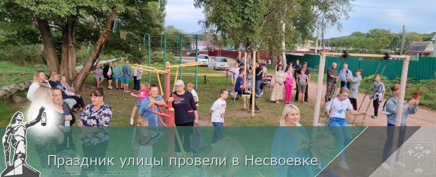 Праздник улицы провели в Несвоевке  | Администрация муниципального округа город Партизанск Приморского края Официальный сайт