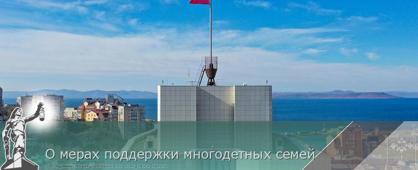 О мерах поддержки многодетных семей | Администрация муниципального округа город Партизанск Приморского края Официальный сайт