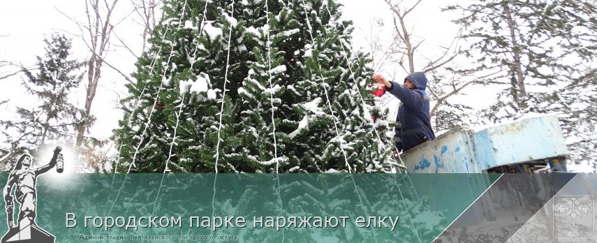 В городском парке наряжают елку | Администрация муниципального округа город Партизанск Приморского края Официальный сайт