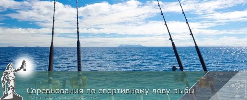 Соревнования по спортивному лову рыбы | Администрация муниципального округа город Партизанск Приморского края Официальный сайт