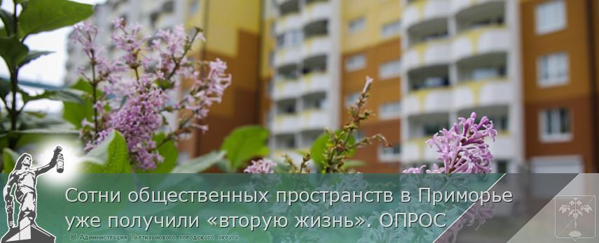 Сотни общественных пространств в Приморье уже получили «вторую жизнь». ОПРОС 