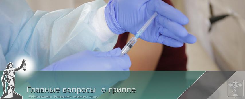 Главные вопросы  о гриппе | Администрация муниципального округа город Партизанск Приморского края Официальный сайт