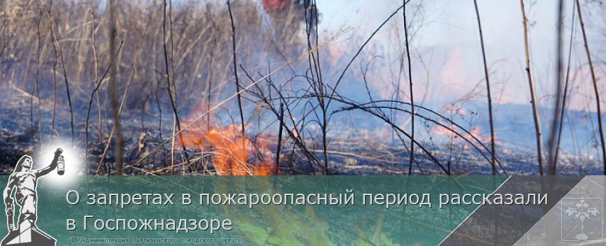 О запретах в пожароопасный период рассказали в Госпожнадзоре