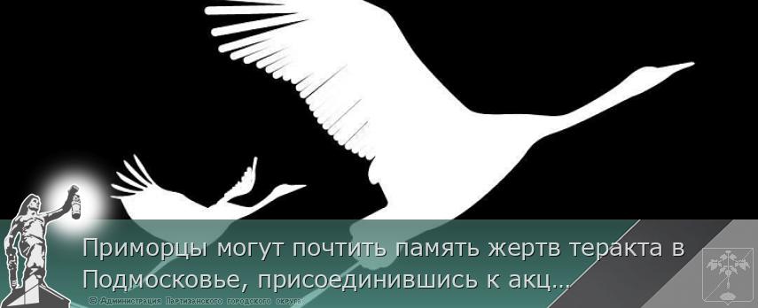 Приморцы могут почтить память жертв теракта в Подмосковье, присоединившись к акции «Журавли» | Администрация муниципального округа город Партизанск Приморского края Официальный сайт