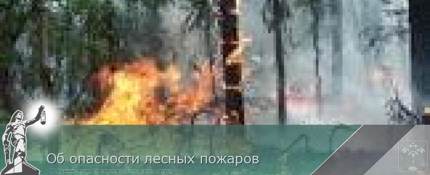 Об опасности лесных пожаров | Администрация муниципального округа город Партизанск Приморского края Официальный сайт