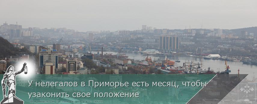 У нелегалов в Приморье есть месяц, чтобы узаконить свое положение 