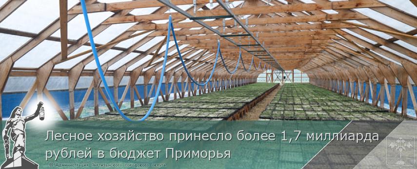 Лесное хозяйство принесло более 1,7 миллиарда рублей в бюджет Приморья | Администрация муниципального округа город Партизанск Приморского края Официальный сайт