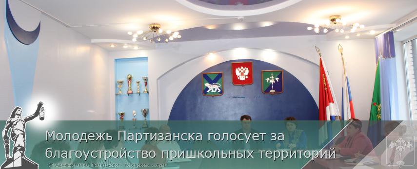 Молодежь Партизанска голосует за благоустройство пришкольных территорий | Администрация муниципального округа город Партизанск Приморского края Официальный сайт