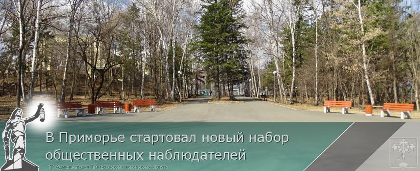 В Приморье стартовал новый набор общественных наблюдателей | Администрация муниципального округа город Партизанск Приморского края Официальный сайт В Приморье стартовал новый набор общественных наблюдателей | Администрация муниципального округа город Партизанск Приморского края Официальный сайт