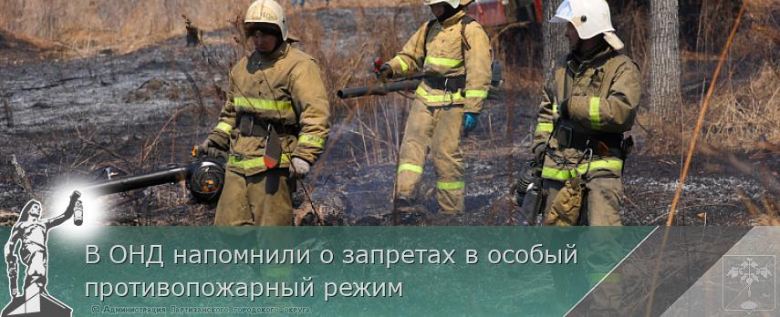 В ОНД напомнили о запретах в особый противопожарный режим