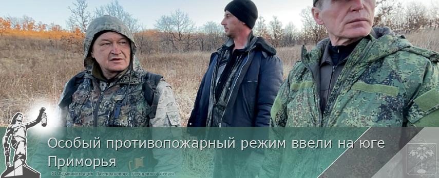 Особый противопожарный режим ввели на юге Приморья | Администрация муниципального округа город Партизанск Приморского края Официальный сайт