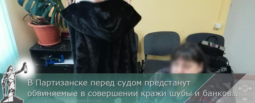 В Партизанске перед судом предстанут обвиняемые в совершении кражи шубы и банковской карты | Администрация муниципального округа город Партизанск Приморского края Официальный сайт