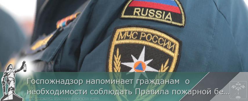Госпожнадзор напоминает гражданам  о необходимости соблюдать Правила пожарной безопасности | Администрация муниципального округа город Партизанск Приморского края Официальный сайт