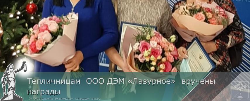 Тепличницам ООО ДЭМ «Лазурное» вручены награды | Администрация муниципального округа город Партизанск Приморского края Официальный сайт Тепличницам ООО ДЭМ «Лазурное» вручены награды | Администрация муниципального округа город Партизанск Приморского края Официальный сайт