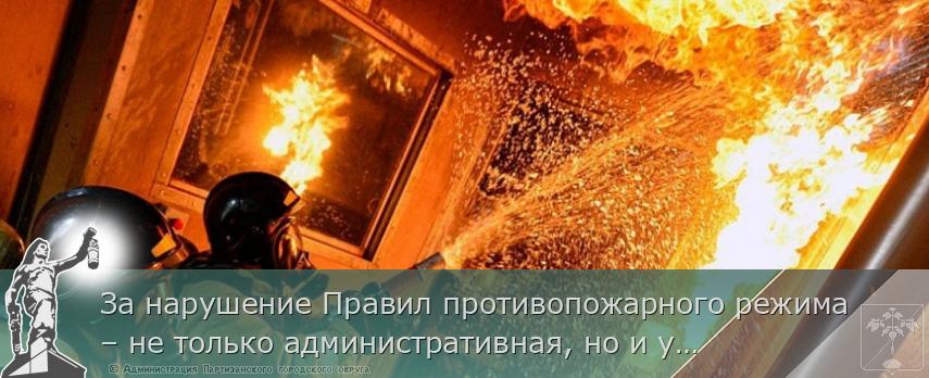 За нарушение Правил противопожарного режима – не только административная, но и уголовная ответственность | Администрация муниципального округа город Партизанск Приморского края Официальный сайт